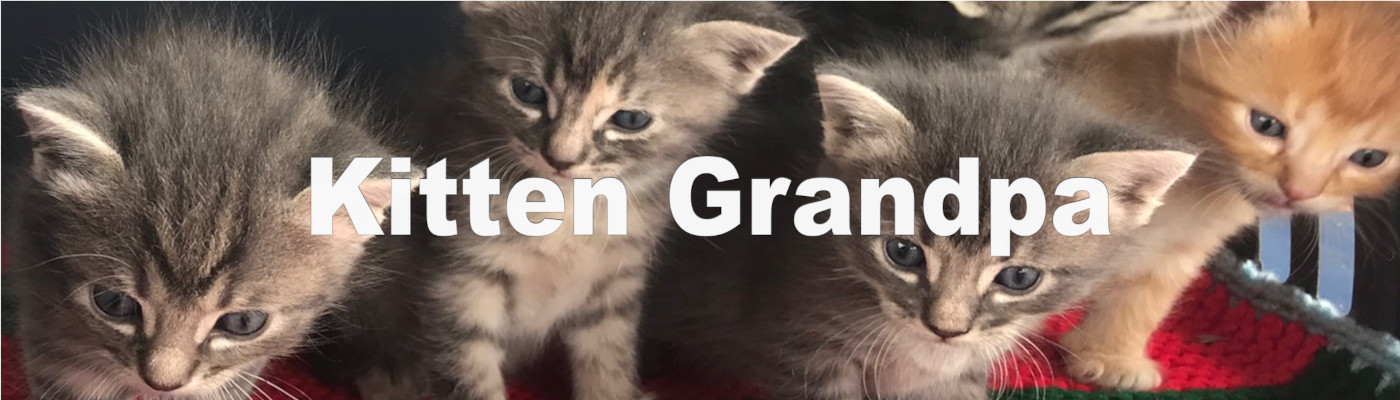 Kitten Grandpa