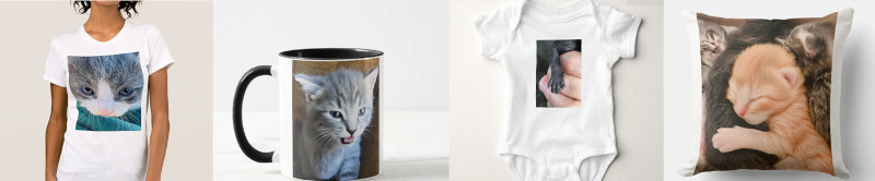 Cat-Themed Novelty Gifts