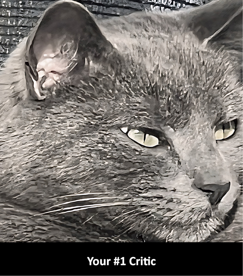 Cat Funnies Episode Cat Is